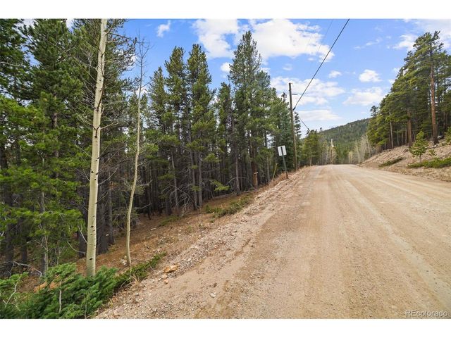 703 Texas Dr, Idaho Springs, CO 80452