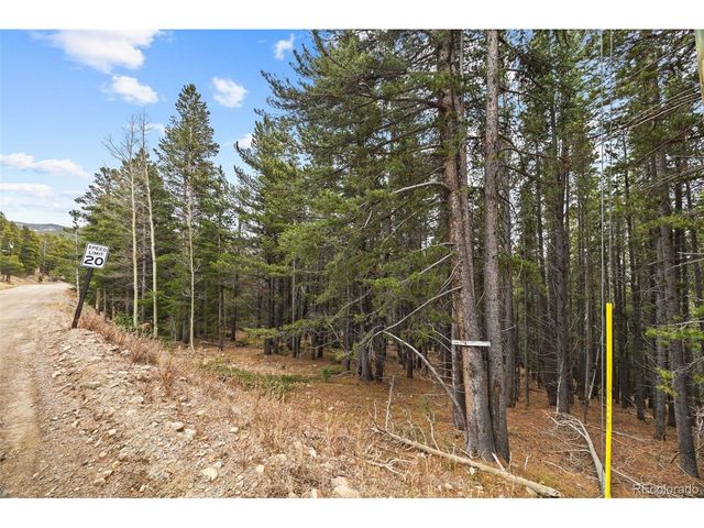 703 Texas Dr, Idaho Springs, CO 80452