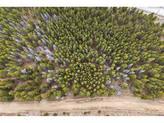 703 Texas Dr, Idaho Springs, CO 80452