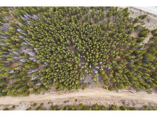 703 Texas Dr, Idaho Springs, CO 80452