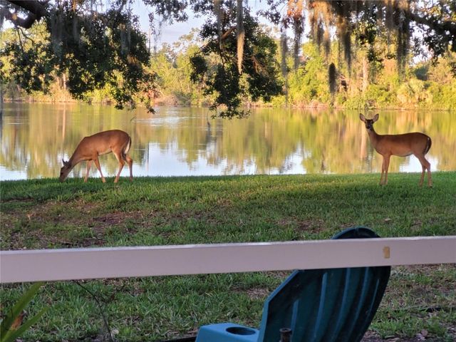 8333 EAGLE LAKE DRIVE, Sarasota, FL 34241