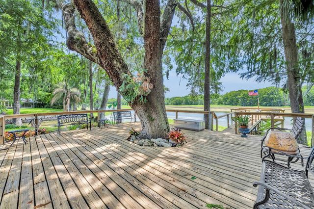 4885 CR 307, Lake Panasoffkee, FL 33538