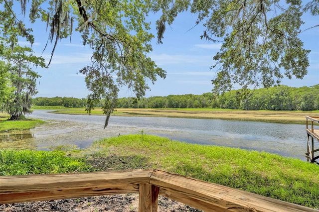 4885 CR 307, Lake Panasoffkee, FL 33538