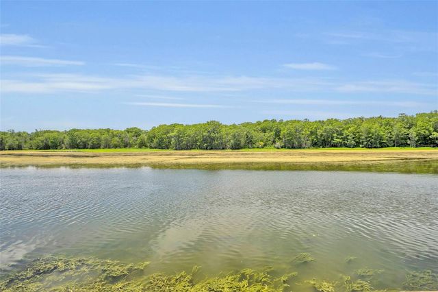 4885 CR 307, Lake Panasoffkee, FL 33538