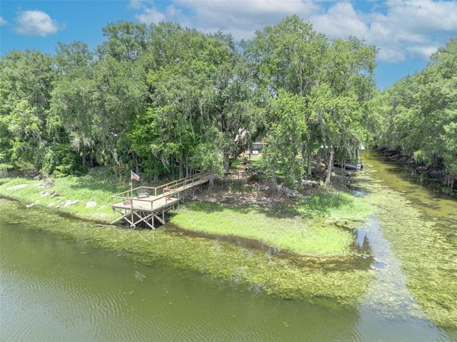 4885 CR 307, Lake Panasoffkee, FL 33538