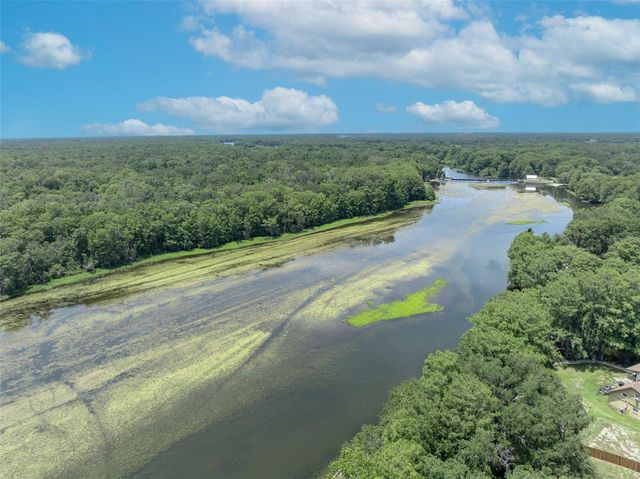 4885 CR 307, Lake Panasoffkee, FL 33538