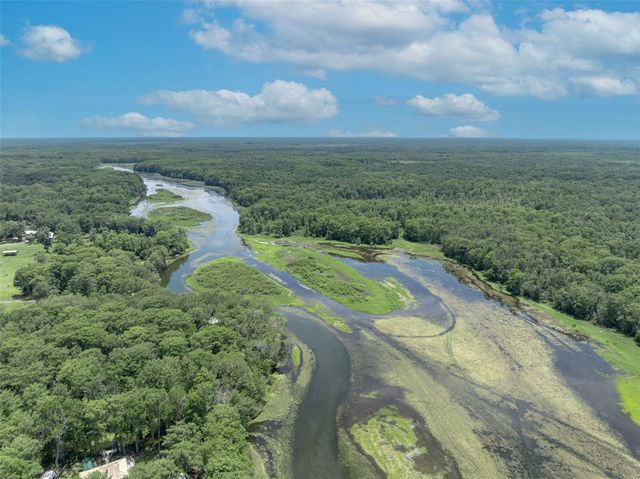 4885 CR 307, Lake Panasoffkee, FL 33538