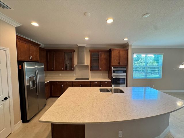 345 VILLA CORTE DRIVE, Lutz, FL 33549