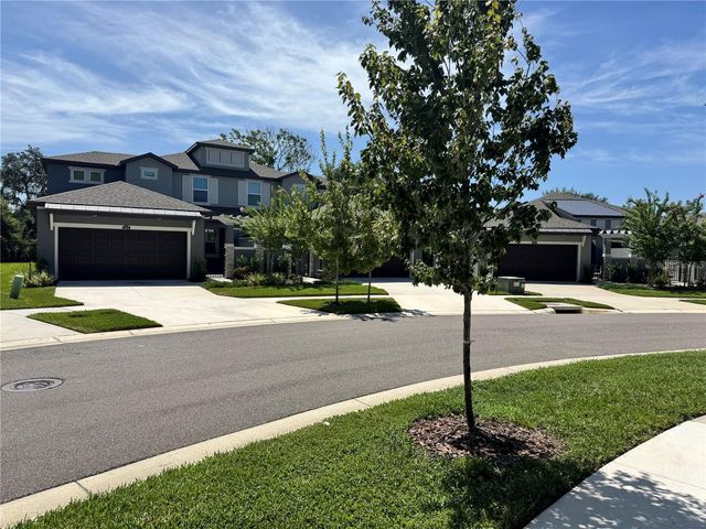 345 VILLA CORTE DRIVE, Lutz, FL 33549