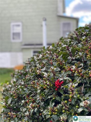 36 East Fell Street, Summit Hill Boro, PA 18250