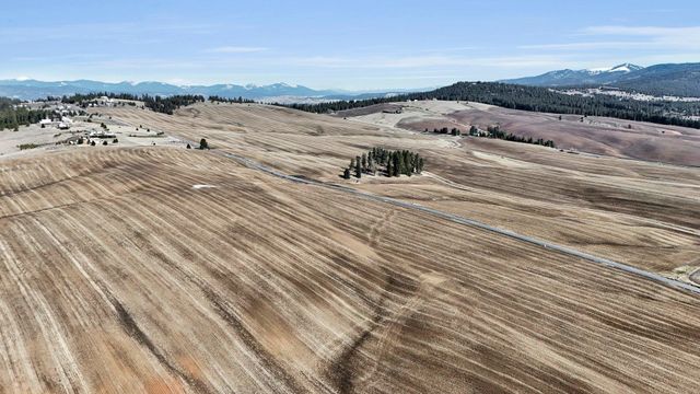 S 8002 Jackson Rd, Mica, WA 99023