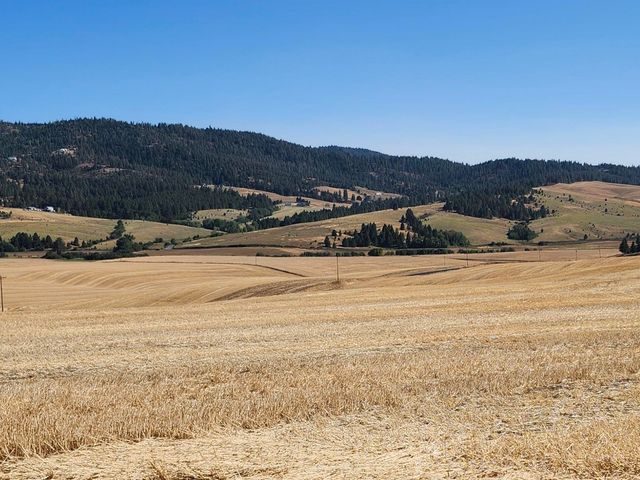 S 8002 Jackson Rd, Mica, WA 99023