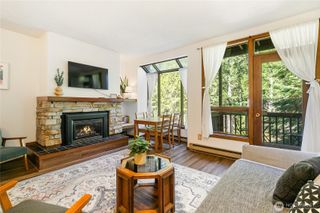 10500 Mt Baker Highway #1011, Glacier, WA 98244
