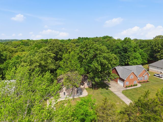 7229 Dice Lampley Rd, Fairview, TN 37062