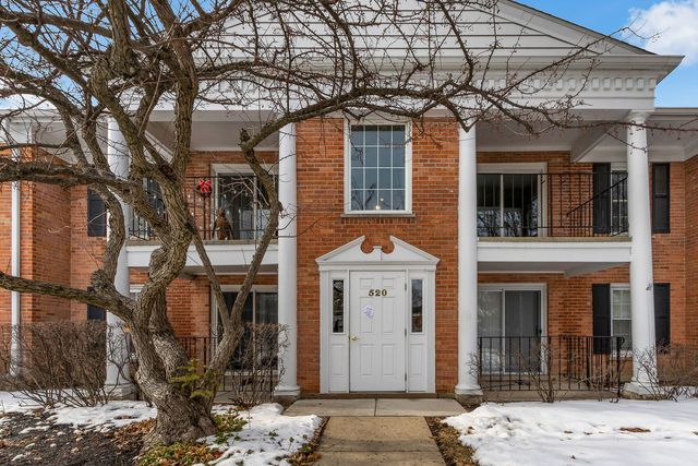 520 Shorely Drive 201, Barrington, IL 60010