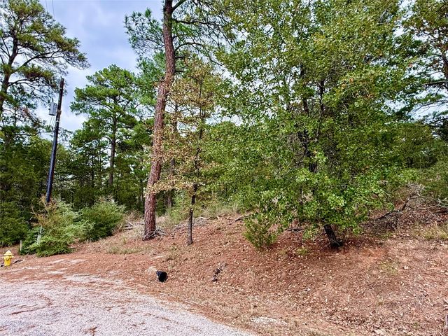 109 and 115 Olomana CT, Bastrop, TX 78602