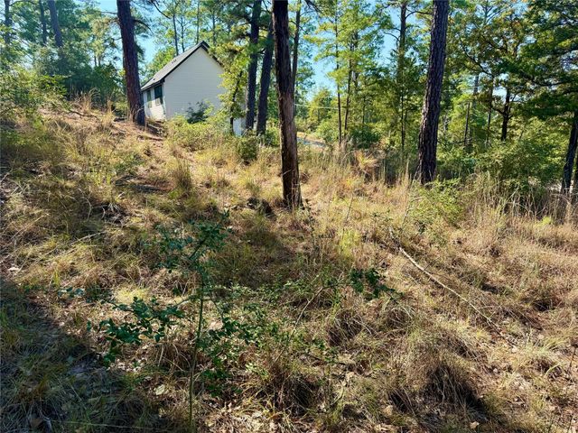 109 and 115 Olomana CT, Bastrop, TX 78602