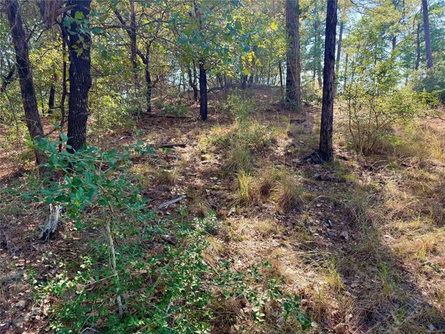 109 and 115 Olomana CT, Bastrop, TX 78602