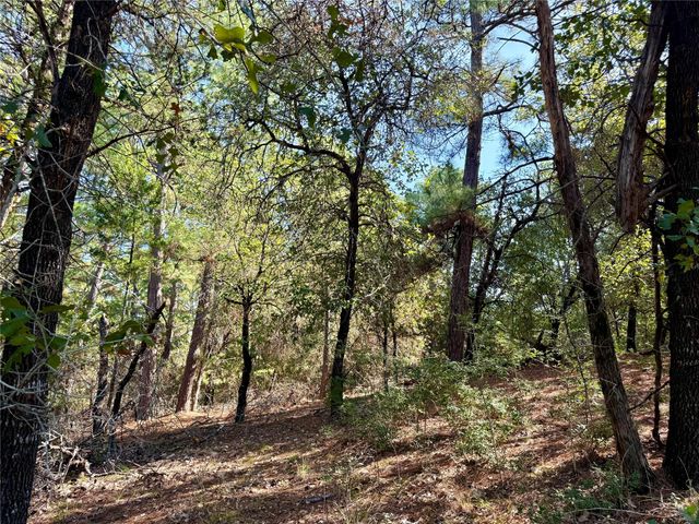 109 and 115 Olomana CT, Bastrop, TX 78602