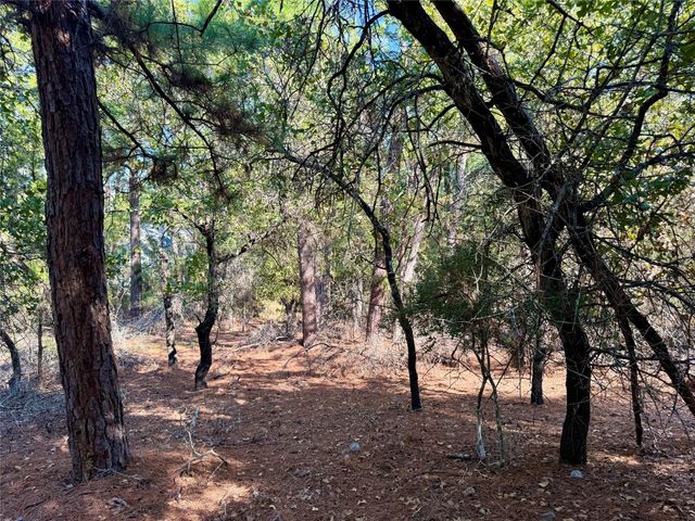 109 and 115 Olomana CT, Bastrop, TX 78602