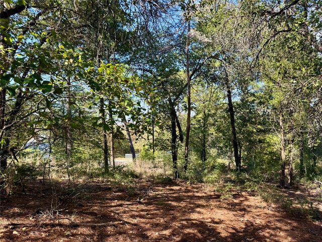 109 and 115 Olomana CT, Bastrop, TX 78602