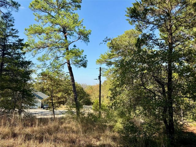 109 and 115 Olomana CT, Bastrop, TX 78602