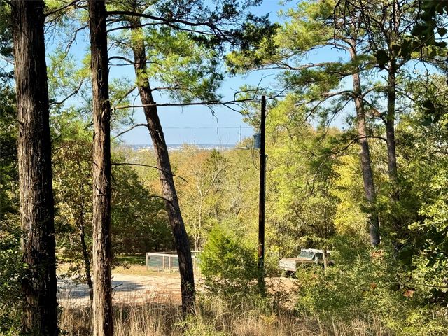 109 and 115 Olomana CT, Bastrop, TX 78602