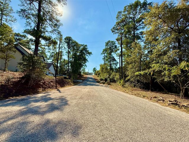 109 and 115 Olomana CT, Bastrop, TX 78602