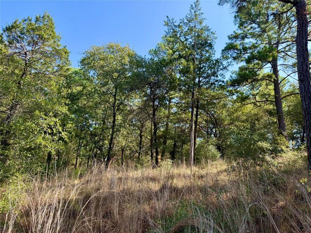 109 and 115 Olomana CT, Bastrop, TX 78602