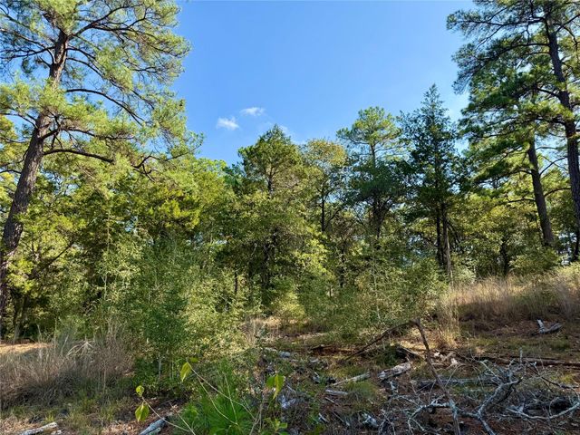 109 and 115 Olomana CT, Bastrop, TX 78602