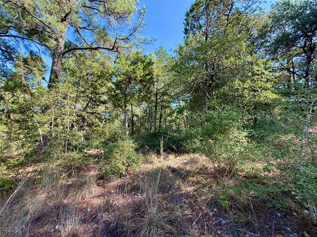 109 and 115 Olomana CT, Bastrop, TX 78602