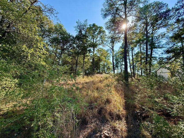 109 and 115 Olomana CT, Bastrop, TX 78602