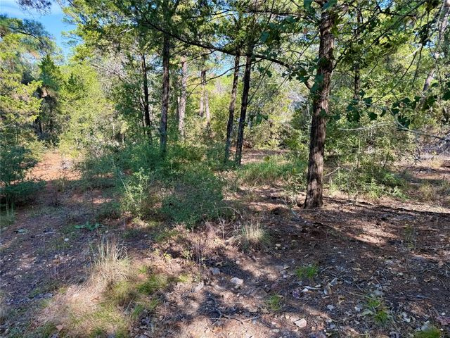 109 and 115 Olomana CT, Bastrop, TX 78602