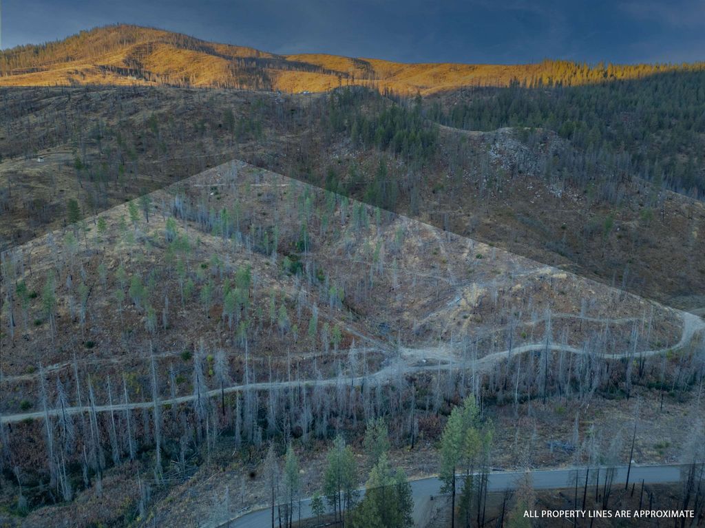 Lot 12 Rail Canyon Rd, Springdale, WA 99173