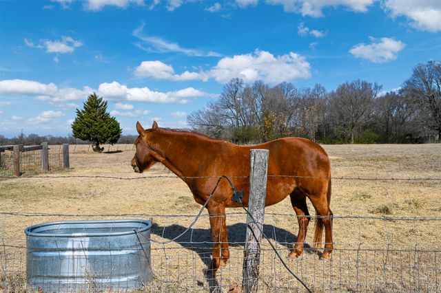 290 Farm Road 197, Arthur City, TX 75411