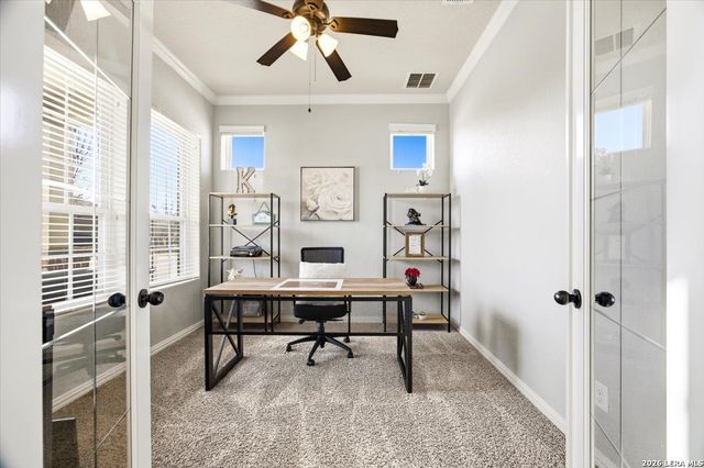 12251 Chambers Cv, San Antonio, TX 78253