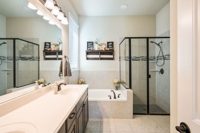 13812 Cortes De Pallas Drive, Little Elm, TX 75068