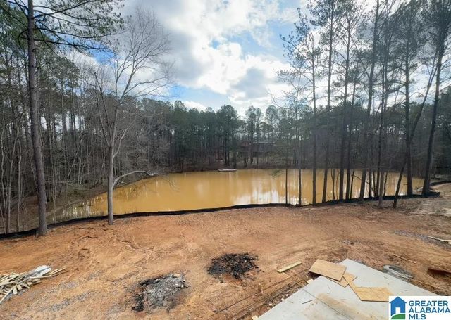 198 RIVER BIRCH ROAD, Chelsea, AL 35043