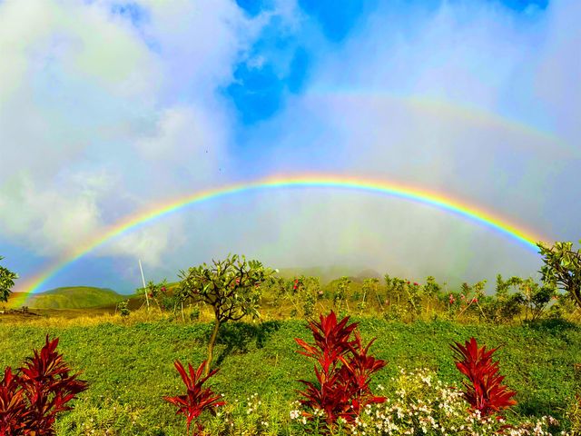 123 Punakea Loop UNIT A, Lahaina, HI 96761