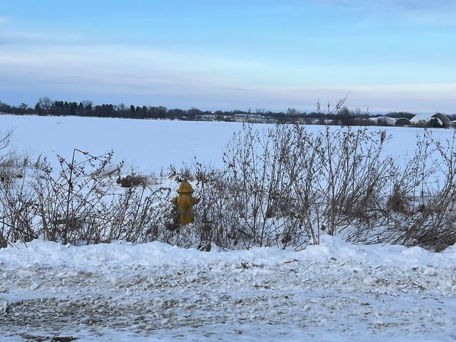 00 110th Avenue, Buffalo, IA 52728