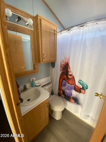 1087 S SHOSHONE Drive 87, Apache Junction, AZ 85119