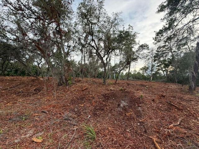 SEQUOIA TRAIL, Ocklawaha, FL 32179