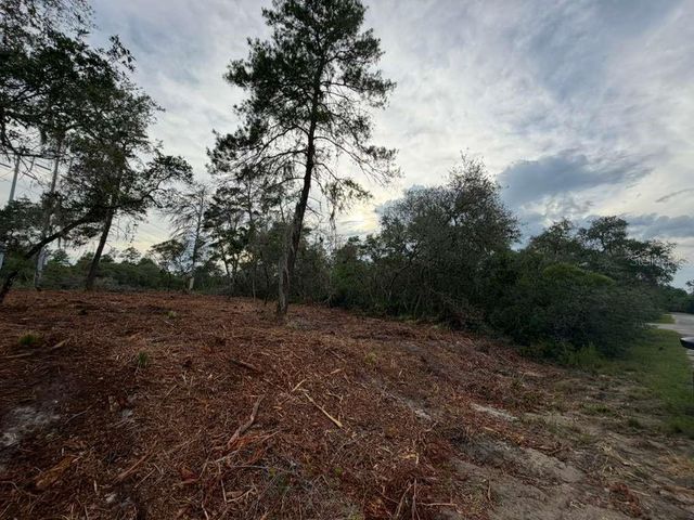 SEQUOIA TRAIL, Ocklawaha, FL 32179