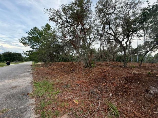 SEQUOIA TRAIL, Ocklawaha, FL 32179