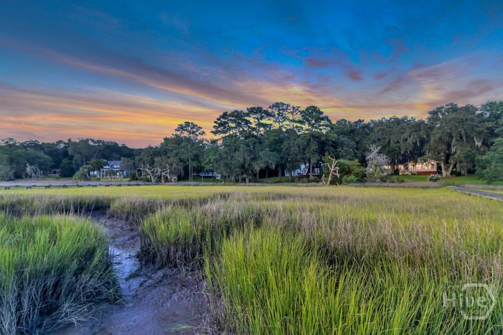 Image 40 of property listing at 411 Tivoli Marsh Road, Richmond Hill, GA 31324
