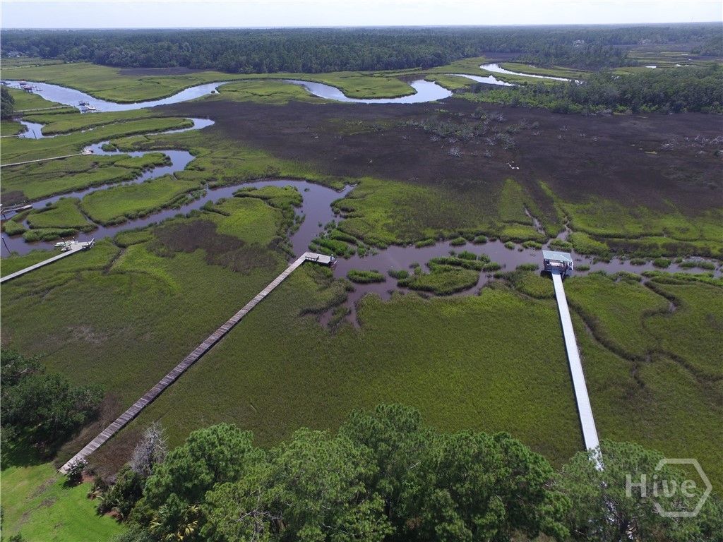 Image 42 of property listing at 411 Tivoli Marsh Road, Richmond Hill, GA 31324