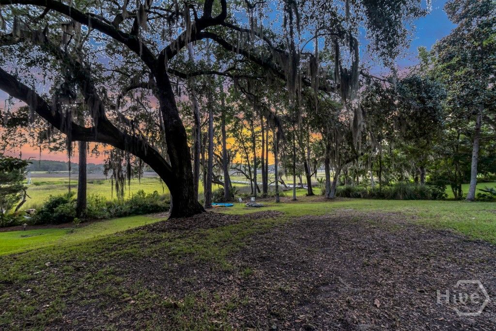 Image 5 of property listing at 411 Tivoli Marsh Road, Richmond Hill, GA 31324