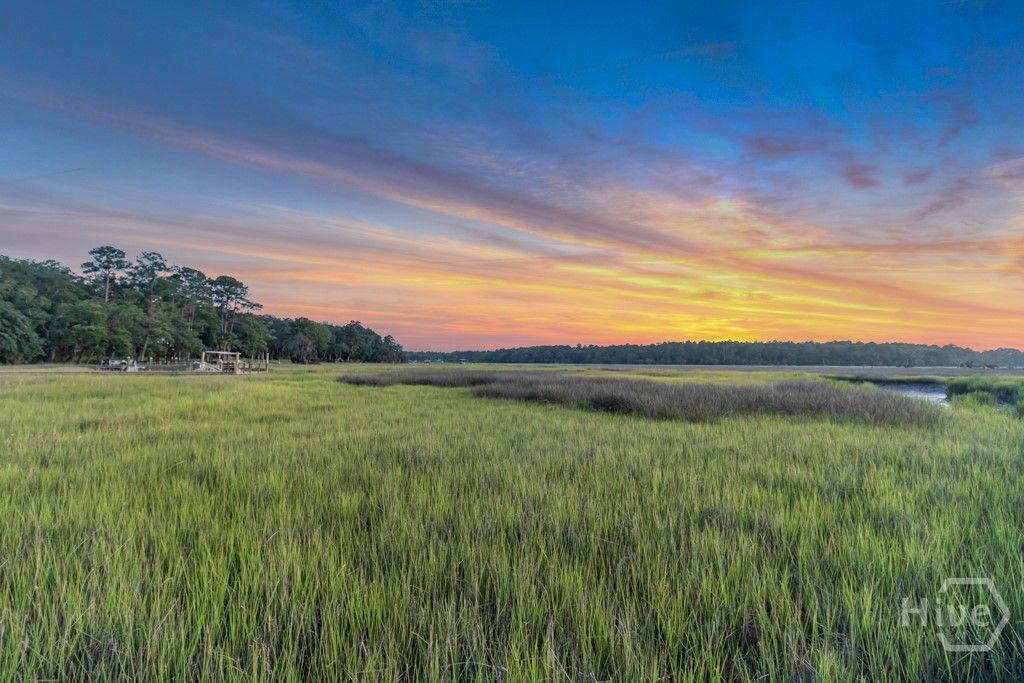 Image 6 of property listing at 411 Tivoli Marsh Road, Richmond Hill, GA 31324