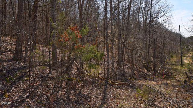 912 Cooley King Road, Kodak, TN 37764