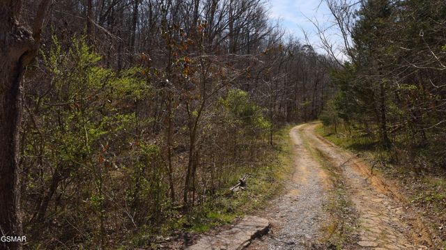 912 Cooley King Road, Kodak, TN 37764